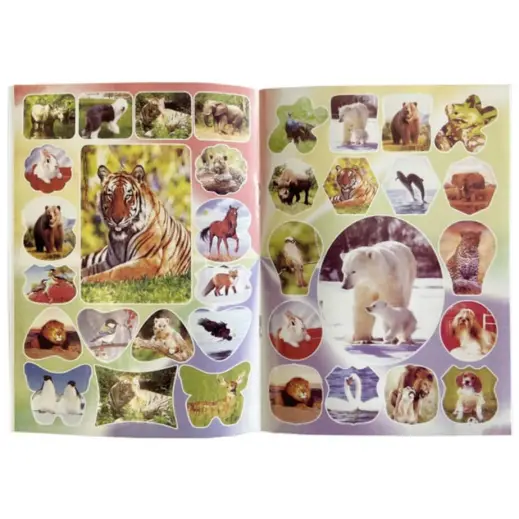 Wildlife Stickers & Colouring Book Stickers
